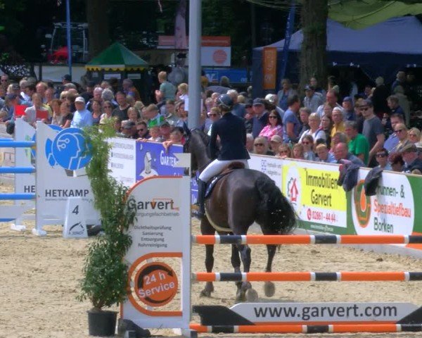 Reitturnier Borken 2025