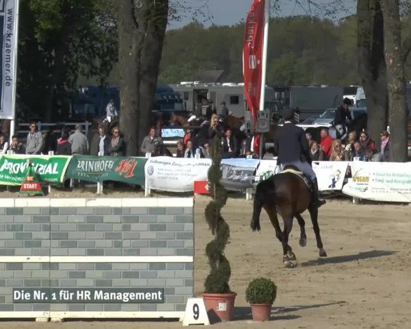 Lenklarer Reitertage 2014