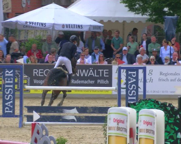 Reitturnier Borken 2025