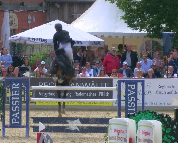 Reitturnier Borken 2025