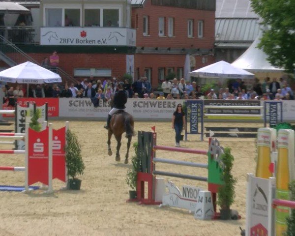 Reitturnier Borken 2025