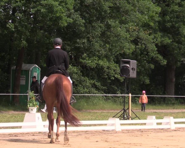 Reitturnier Horka 2025