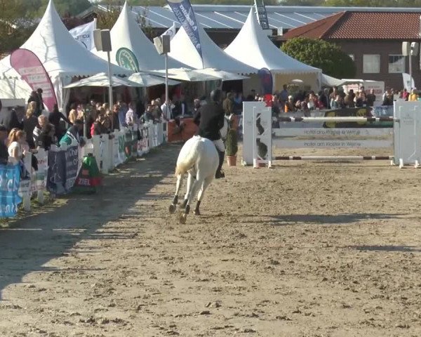 Lenklarer Reitertage 2014