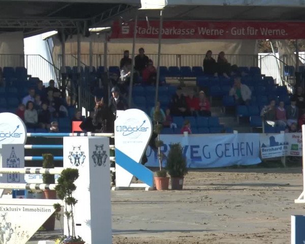 Reitturnier Werne-Lenklar 2014