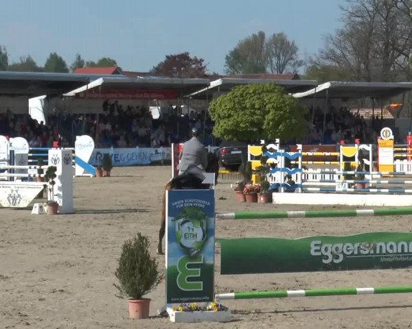 Reitturnier Werne-Lenklar 2014