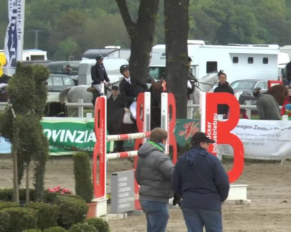 Lenklarer Reitertage 2014