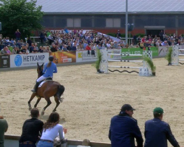 Reitturnier Borken 2025