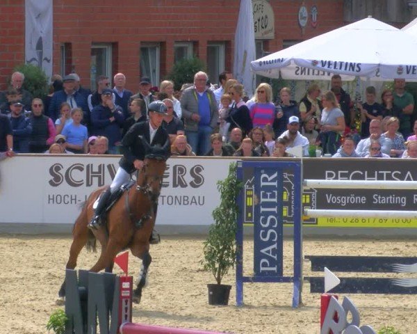 Reitturnier Borken 2025