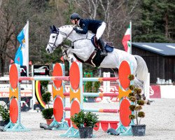 Springpferd Take A Last Chance van de Braembeier - H (Belgisches Warmblut, 2011, von President)