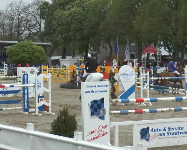 Reitturnier Werne-Lenklar 2014