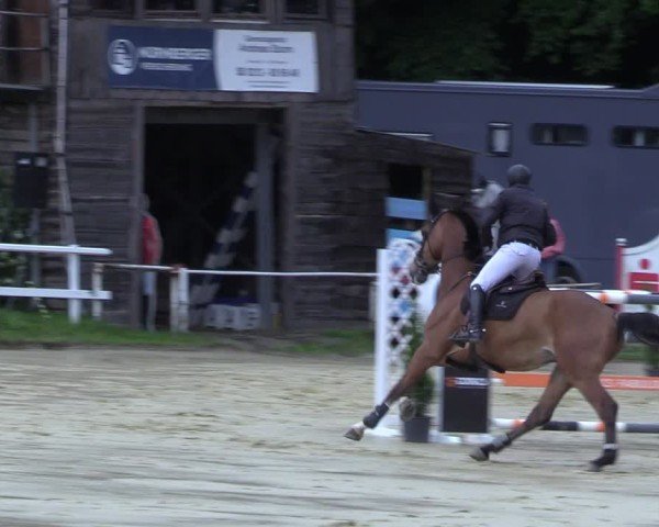 Reitturnier Siegen-Weidenau  2025