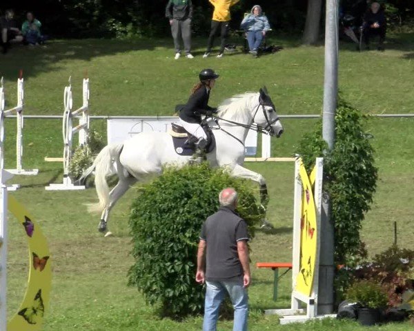 Reitturnier Forst 2025