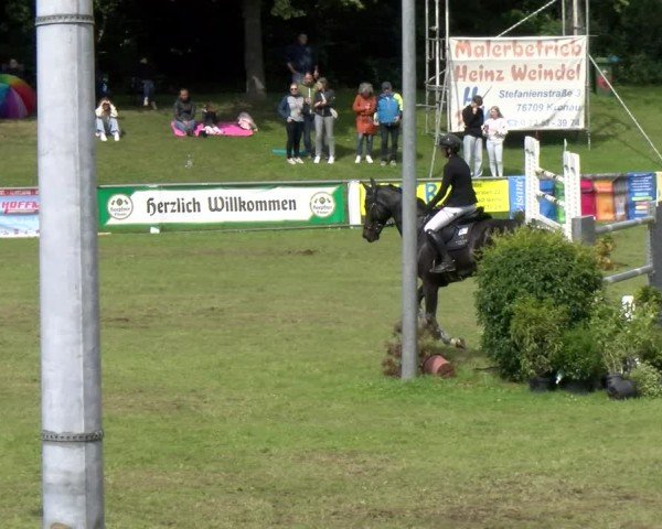 Reitturnier Forst 2025