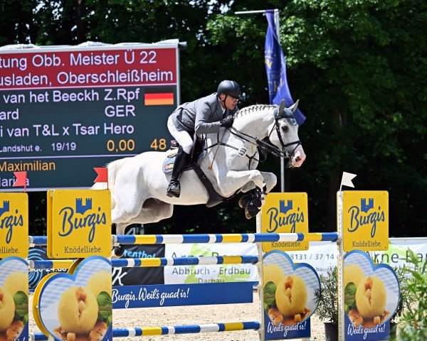 Springpferd Dubai van het Beeckhof Z (Zangersheide Reitpferd, 2014, von Dieu-Merci van T&L)