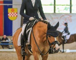 Dressurpferd Der kleine Fred (Deutsches Reitpony, 2019, von Dating AT NRW)