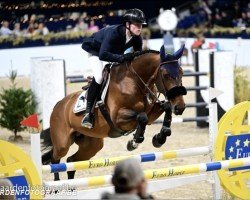jumper Quick Touch Jw van 't Meulenhof (Belgian Warmblood, 2016, from Kannan)