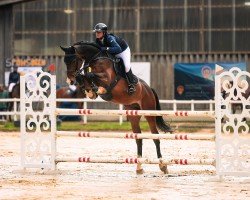 jumper Call Me Blinki B (Westphalian, 2018, from Capistrano 2)