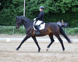 Dressurpferd Sissi Fleur (Deutsches Sportpferd, 2018, von Secret)