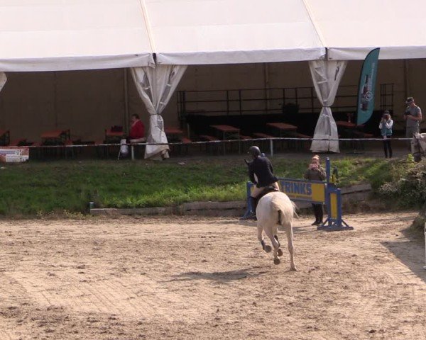 Reitturnier Langenleuba - Oberhain 2025