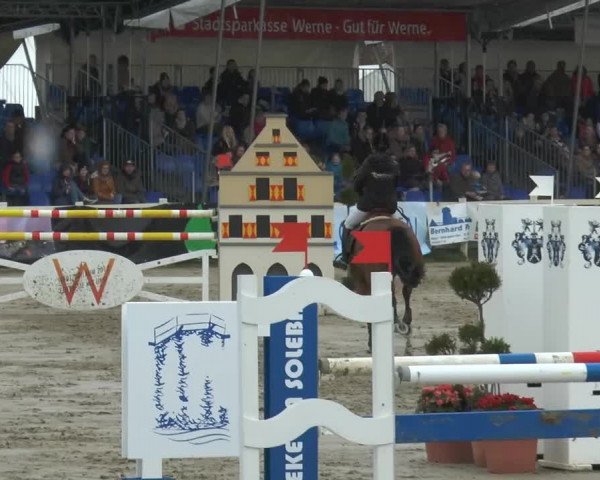 Lenklarer Reitertage 2014