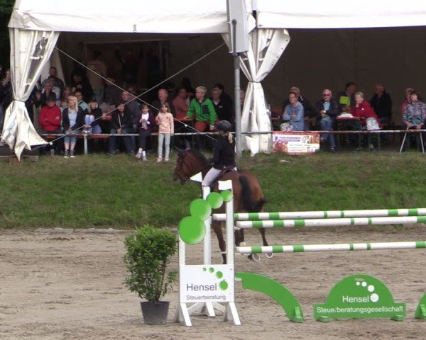 Reitturnier Langenleuba - Oberhain 2025