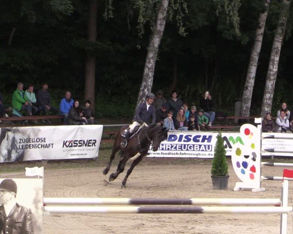 Reitturnier Langenleuba - Oberhain 2025