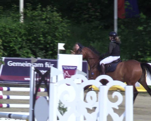 Reitturnier Siegen-Weidenau  2025