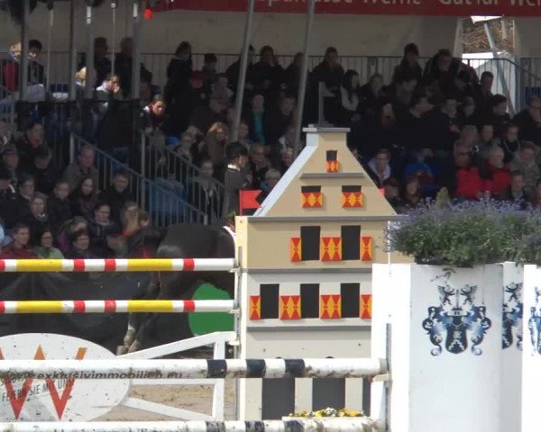 Lenklarer Reitertage 2014