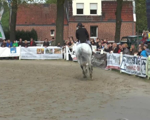 Reitturnier Werne-Lenklar 2014