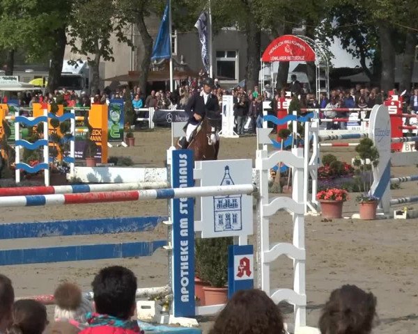 Lenklarer Reitertage 2014