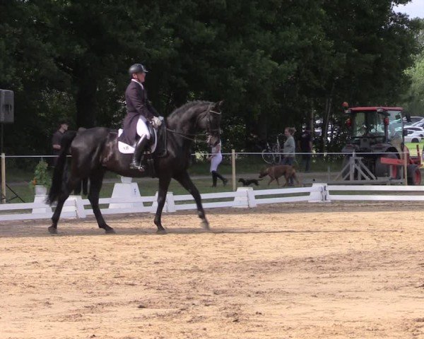 Reitturnier Horka 2025