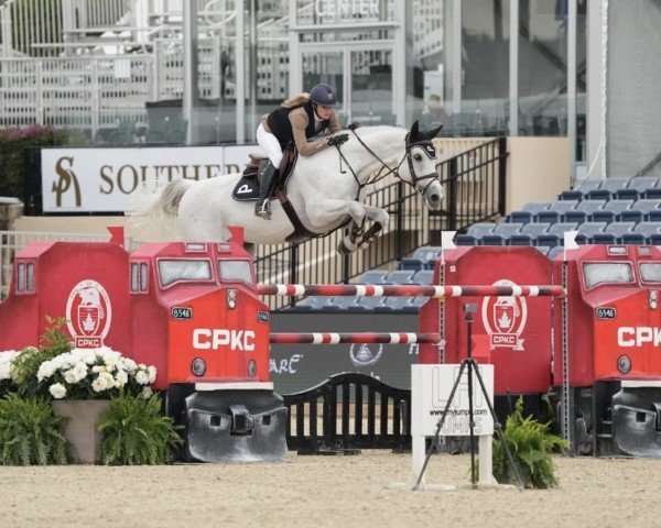 jumper Starsky (Oldenburg, 2013, from Stakkatol)