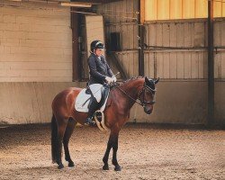 Dressurpferd Kiara de Villon (Connemara-Pony, 2020, von Enjoy des Roseaux)