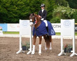 dressage horse Irvine 4 (Oldenburg, 2019, from Asgard's Ibiza)