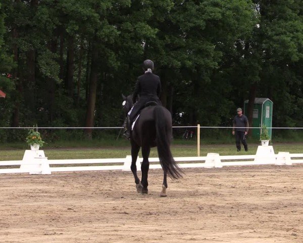 Reitturnier Horka 2025