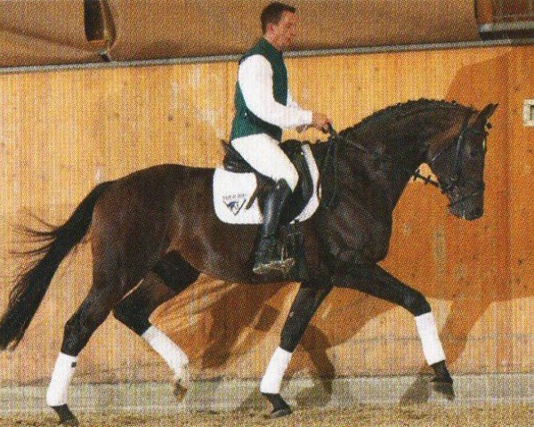 horse Diamond Hill (Oldenburg, 2007, from Diamonit I)