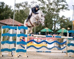 jumper Mister Masters 111 Z (Zangersheide riding horse, 2018, from Shadowfax 111)
