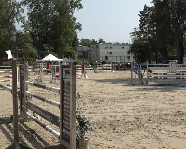 Reitturnier Bregenz 2025