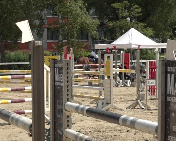 Reitturnier Bregenz 2025