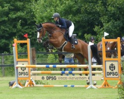 jumper Dia Calla (Hanoverian, 2020, from Diamant de Plaisir 178 FIN)