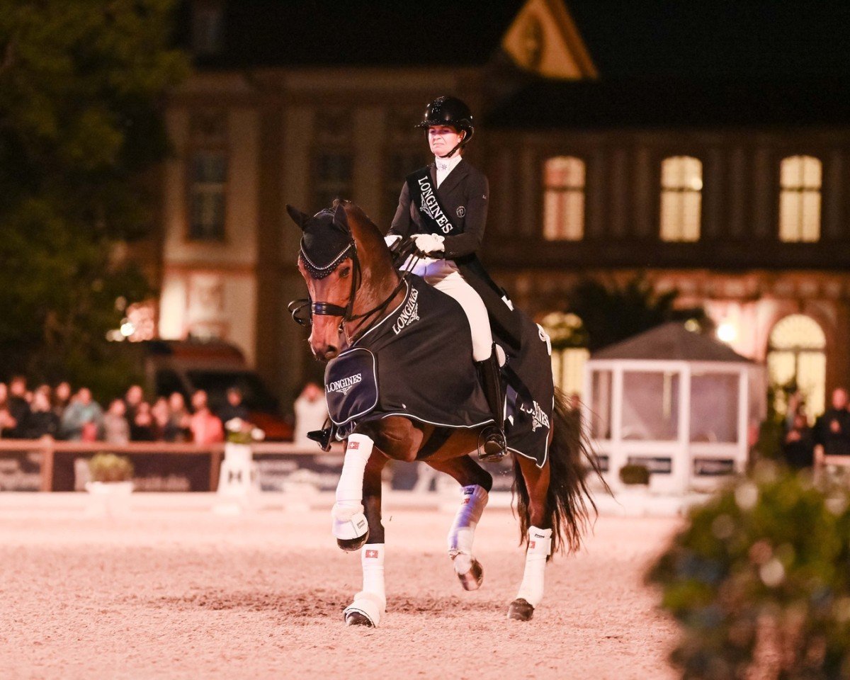 Dressurpferd Rockson (Dänisches Warmblut, 2011, von Rockefeller)