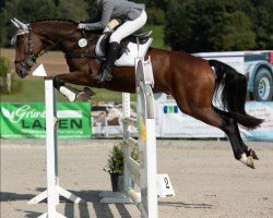 jumper Quirly Whirly (Hanoverian, 2016, from Qualito)