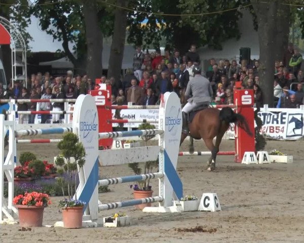 Reitturnier Werne-Lenklar 2014