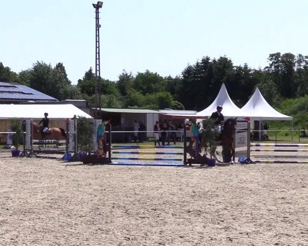 Reitturnier Großenwiehe 2025