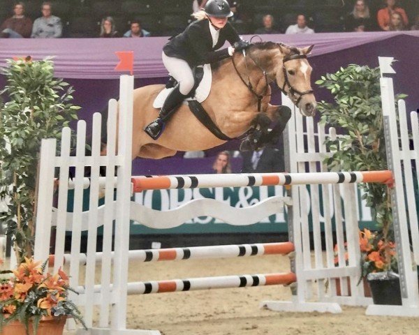 Pferd Orchid's Gisa (Nederlands Rijpaarden en Pony, 2009, von Kanshebber)