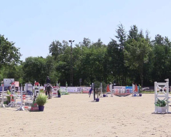 Reitturnier Großenwiehe 2025