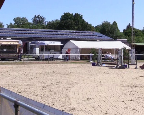 Reitturnier Großenwiehe 2025