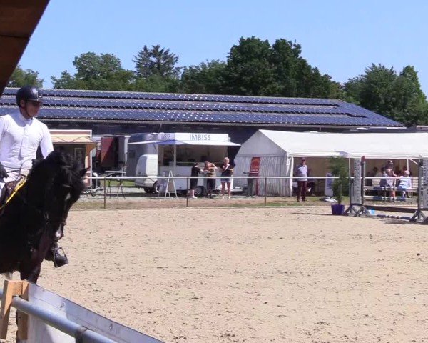 Reitturnier Großenwiehe 2025