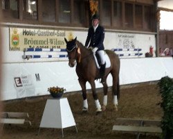 dressage horse Bel amie 2 (Westphalian, 2010, from Belissimo NRW)