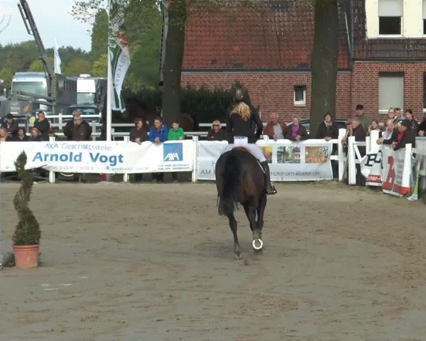 Lenklarer Reitertage 2014